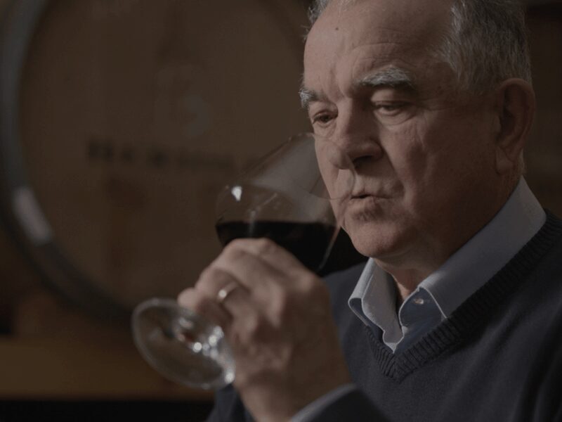 Winery Tour & Tasting near Lake Trasimeno & Perugia - Discovering Umbrian Wine and Land