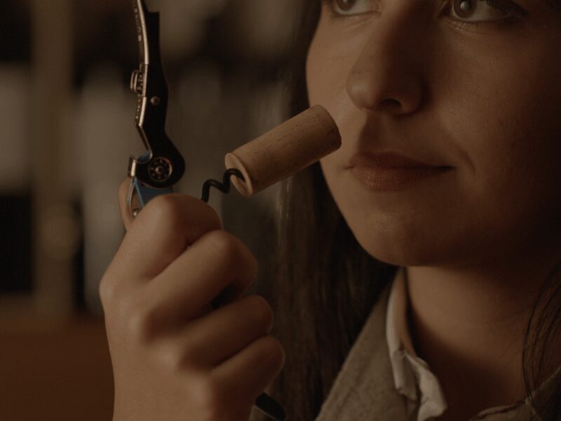 Winery Tour & Tasting near Lake Trasimeno & Perugia - Who Will Love This Tour?