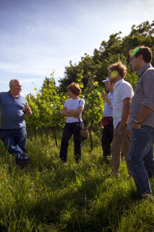 Winery Tour & Tasting on Padua Hills - The Authentic Veneto Experience in a Nutshell