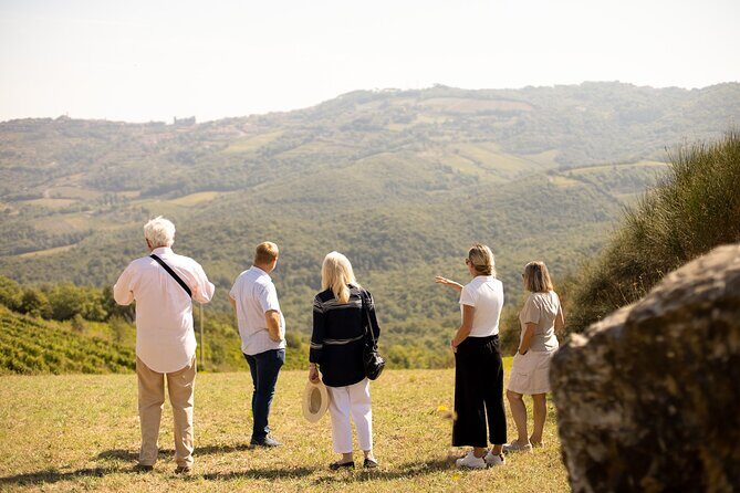 Winery tour & wine tasting in Montalcino - The Wine Tasting Experience
