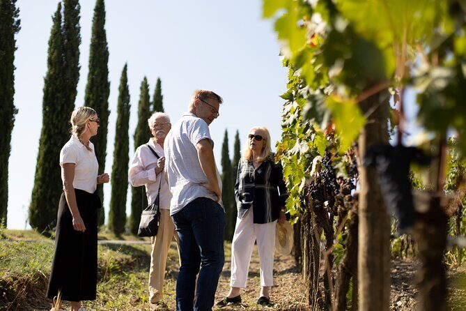 Winery tour & wine tasting in Montalcino - Pricing and Value
