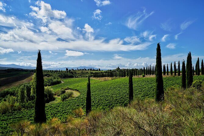 Winery tour & wine tasting in Montalcino - Who Will Love This Tour?