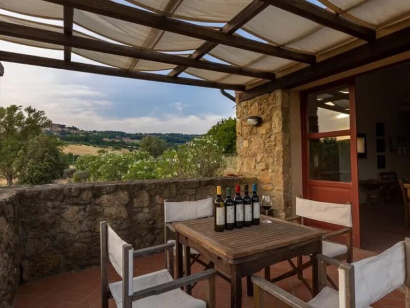 Winery Tour & Wine Tasting with Food near Livorno & Pisa - What to Expect from the Experience