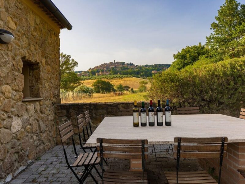 Winery Tour & Wine Tasting with Food near Livorno & Pisa - Food Pairing: More Than Just a Snack