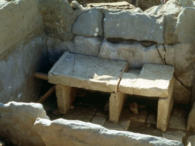 Winery Tour & Wine Tasting with Food near Livorno & Pisa - The Experience You’ll Love