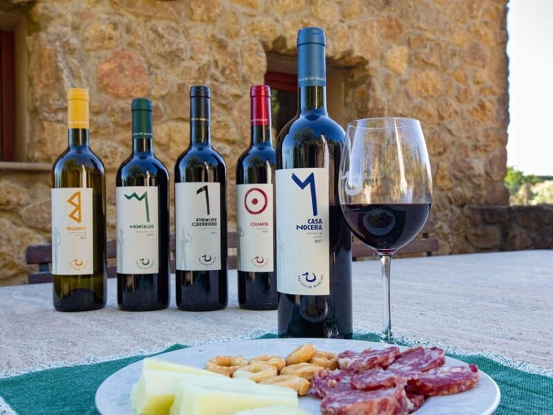 Winery Tour & Wine Tasting with Food near Livorno & Pisa - Who Should Consider This Tour?