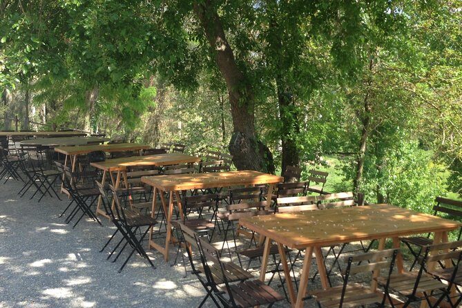 Winery tour with Wine and Olive tasting in Corfu - Who Should Consider This Tour?