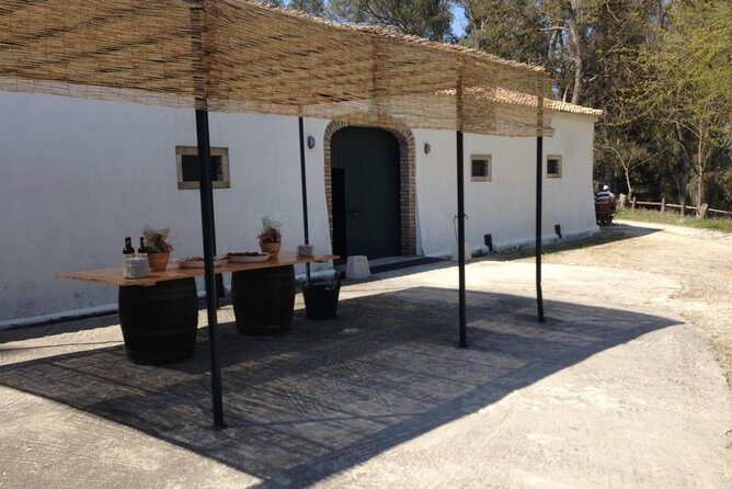 Winery tour with Wine and Olive tasting in Corfu - Final Thoughts