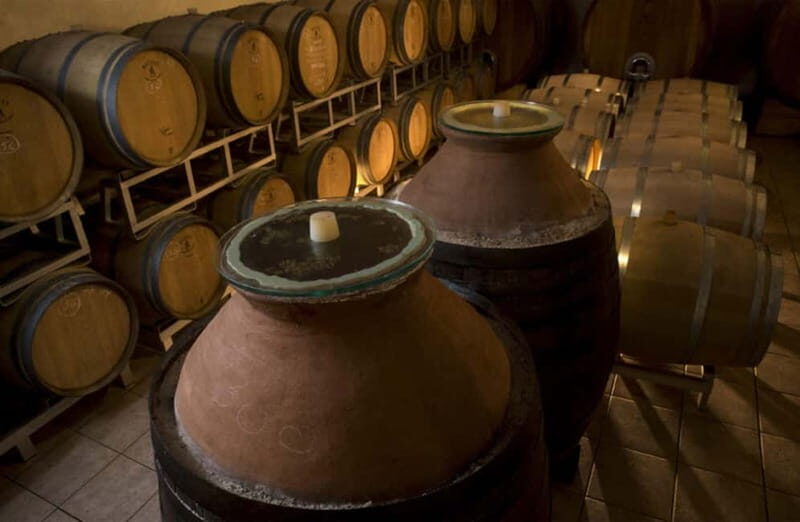 Winery Tour with Wine & Food Tasting near Riccione & Rimini - Exploring the Heart of Emilia-Romagna’s Wine Scene