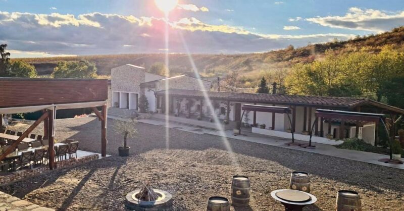 Winery touring & private wine tasting - one day private tour - Who Will Love This Tour?