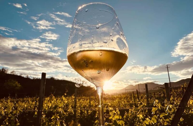 Winery & Vineyard Tour with Wine Tasting & Food in Albenga - FAQ