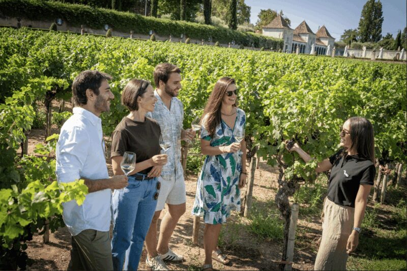 Winery Visit & Fish Market Tour with Tasting from Lisbon - Key Points