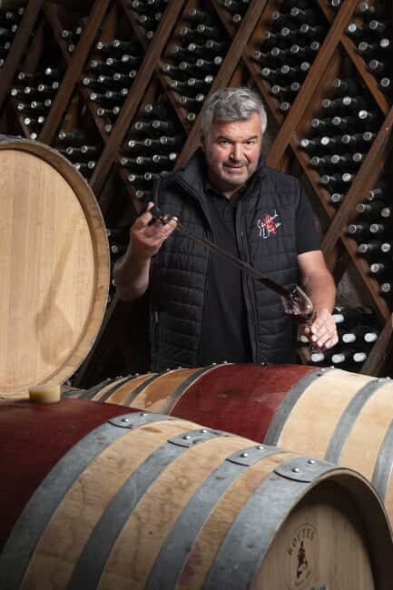 Winery visit in Epesses and wine tasting - Key Points