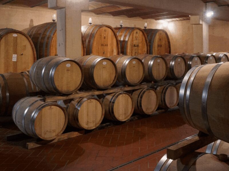 Winery Visit & Tasting near Grosseto with 6 wines - Final Thoughts