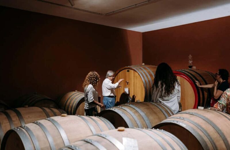 Winery Visit & Tasting on the Volcanic Slopes near Catania - A Deeper Look at the Winery Experience