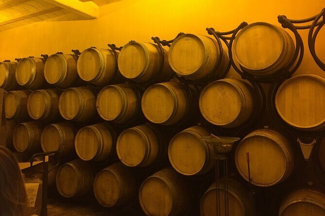 Winery Visit with Food and Wine in Carcassonne - Practical Details