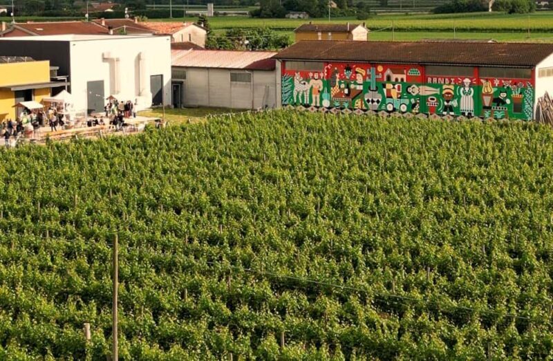 Winery Visit with Wine & Food Tasting near Ravenna - Practical Tips