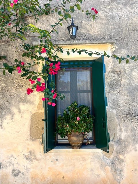 Winery Winery Olive Oil Tasting Traditional lunch - Exploring the Experience in Detail