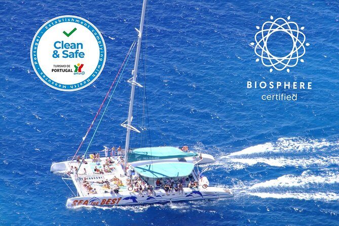 Wines Tasting Experience and Skywalk with Dolphin Watching - The Sum Up