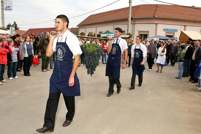 Winetaste in Villany, and visiting Pécs, on a private tour - Starting with the Highlights: What Makes This Tour Special?