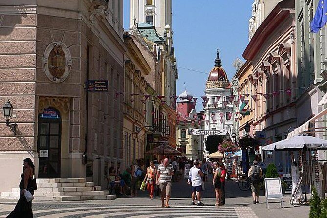 Winetaste in Villany, and visiting Pécs, on a private tour - Price and Value