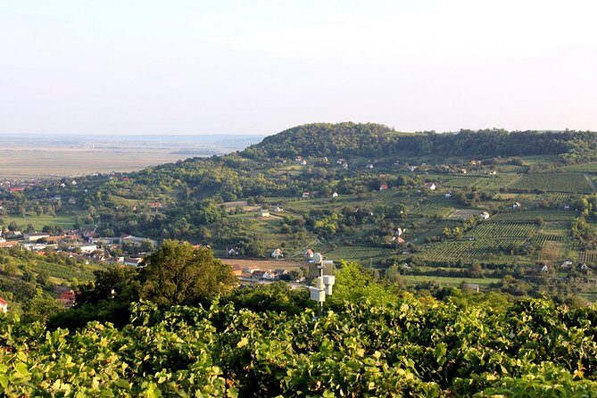 Winetaste in Villany, and visiting Pécs, on a private tour - The Downsides