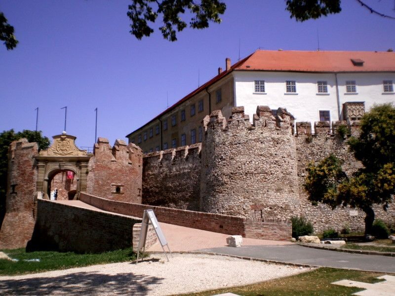 Winetaste in Villany, sightseeing in Pécs, private tour - Who Should Consider This Tour?