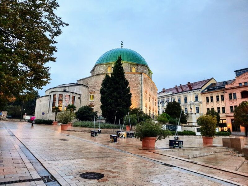 Winetaste in Villany, sightseeing in Pécs, private tour - Final thoughts