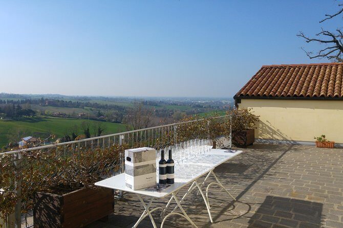 Winetour and tasting on Bologna hills, guided by the wine grower - What to Expect on the Tour