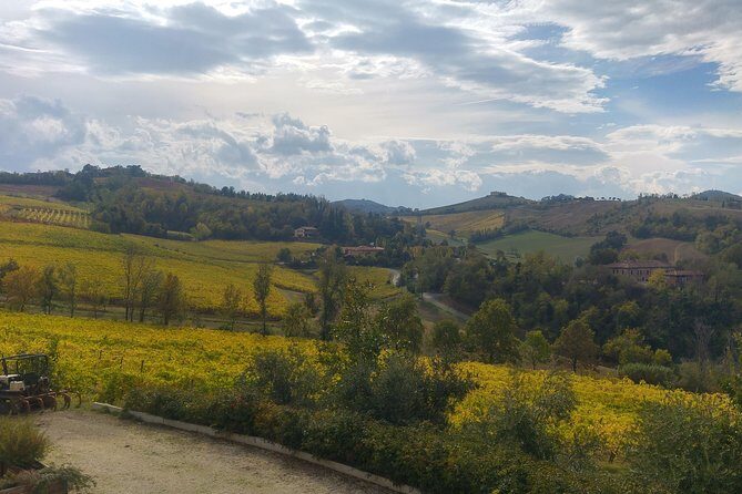 Winetour and tasting on Bologna hills, guided by the wine grower - Practical Tips