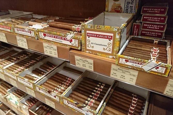 Winston Churchill's London and The Churchill War Rooms - A Private Tour. - Who Is This Tour Best Suited For?