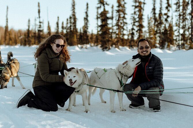 Winter Dog Sled Tour: Day or Night. - Key Points
