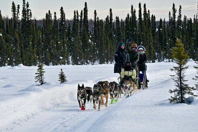 Winter Dog Sled Tour: Day or Night. - FAQ