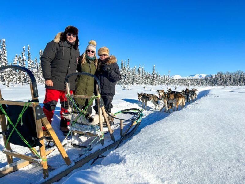 Winter Dog Sled Tour Day or Night Mush! - Key Points