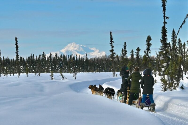 Winter Dog Sled Tour Day or Night Mush! - Practical Details and What to Expect