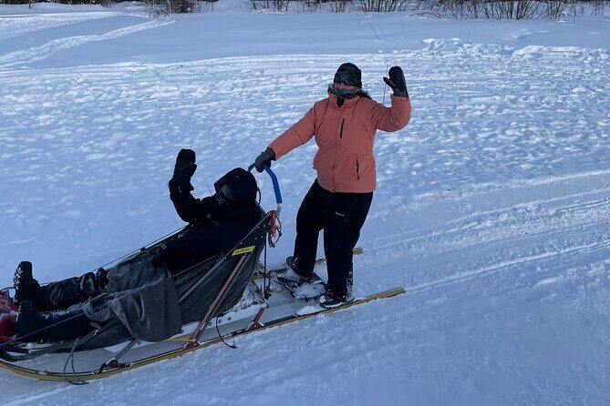 Winter Dog Sledding in Fairbanks - Is It Worth the Price?