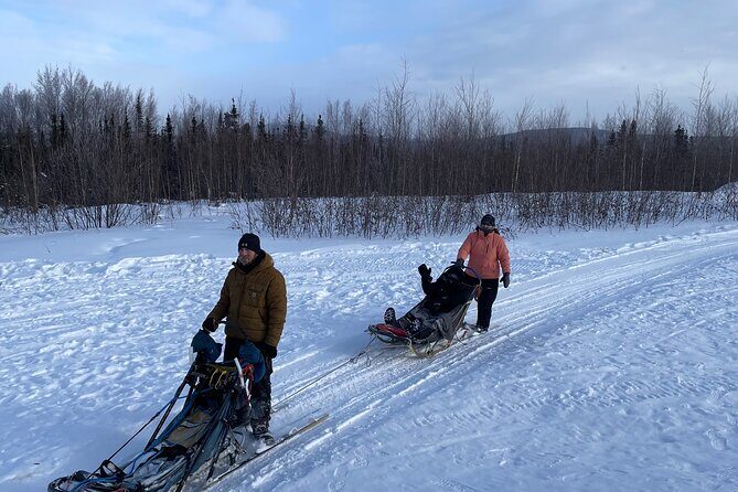 Winter Dog Sledding in Fairbanks - Who Should Consider This Tour?