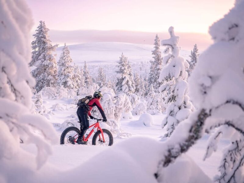 Winter Electric Fat bike Experience - Potential Drawbacks and Considerations