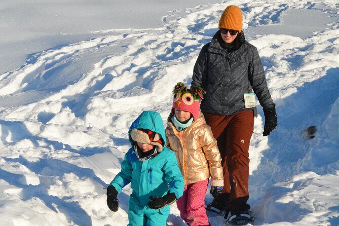 Winter Family Fun Day in Palmer Alaska - What to Expect from the Tour