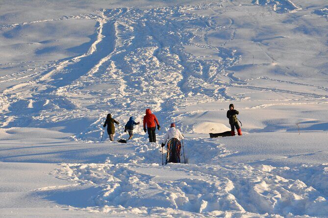 Winter Family Fun Day in Palmer Alaska - Who Would This Tour Suit Best?