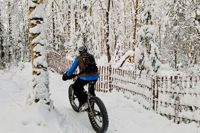 Winter Fat Biking Anchorage Tour - Pricing and Value