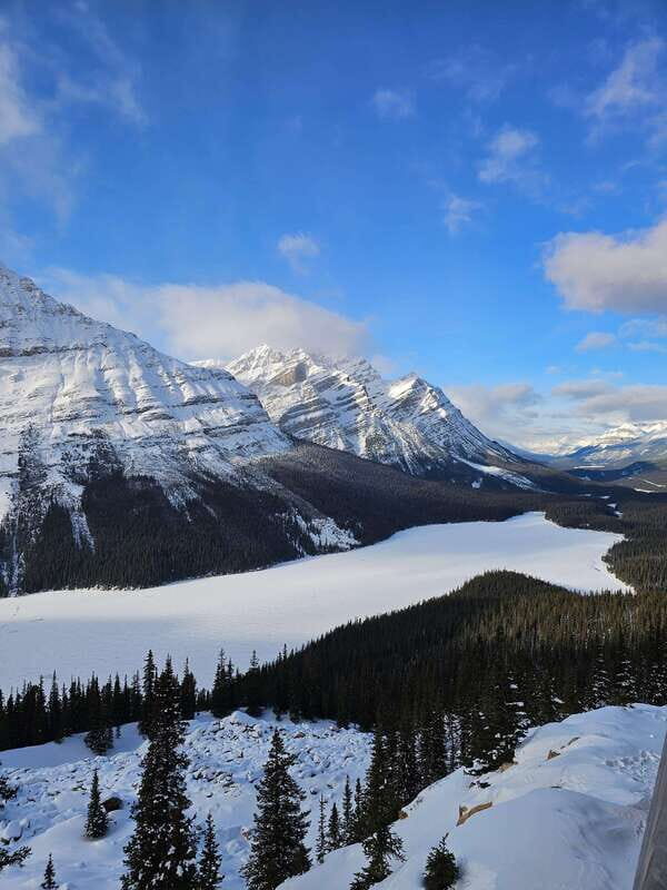 Winter: Full Day Private Tour Banff Icefield Parkway Trip - Key Points