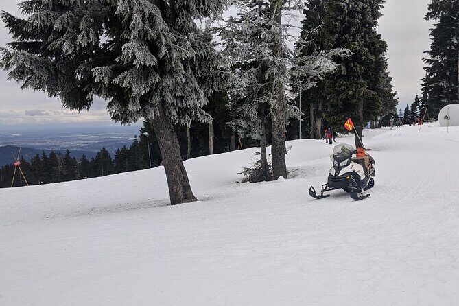 Winter Fun at North Shore Mountains- Grouse, Seymour & Cypress - FAQ