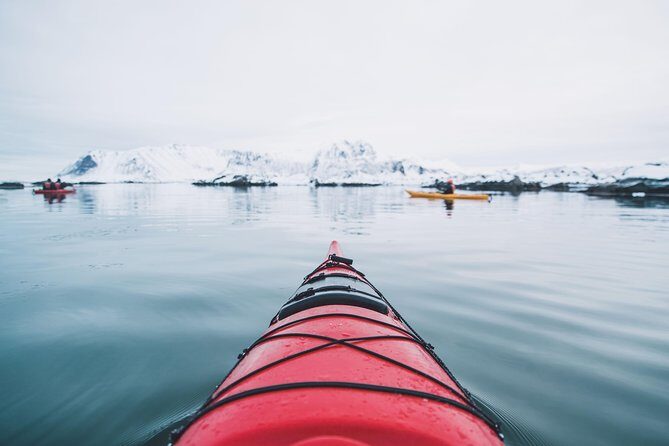 Winter Half Day Kayak Tour - Who Will Love This Tour?