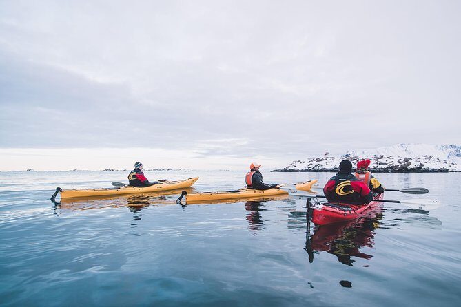 Winter Half Day Kayak Tour - Final Thoughts