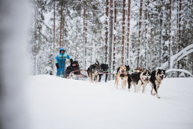 Winter highlights: Snowmobile, Arctic Animals And Santa`s Village - Final Thoughts