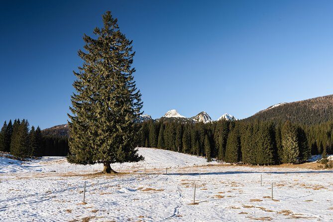 Winter Hike in Julian Alps - The Itinerary: What to Expect from Start to Finish