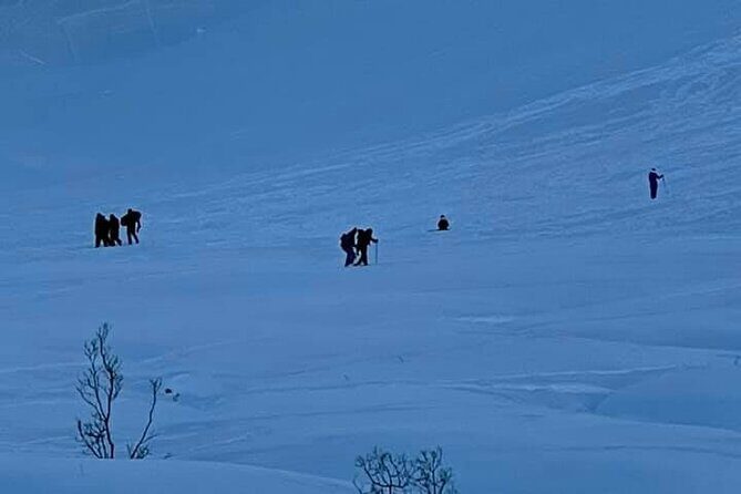 Winter Hiking Set for Snowshoes and Trek Poles - The Benefits of the Self-Guided Approach