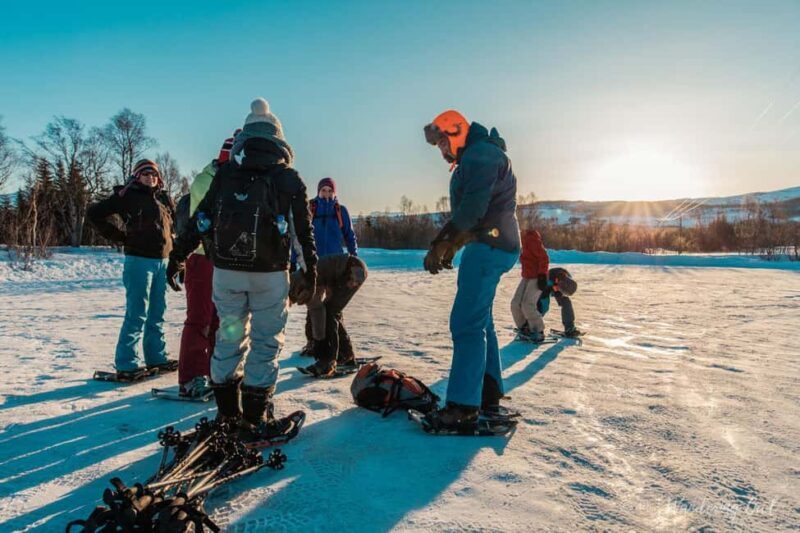 Winter Snowshoeing in the Finnish Wilderness - What to Expect on the Snowshoeing Tour