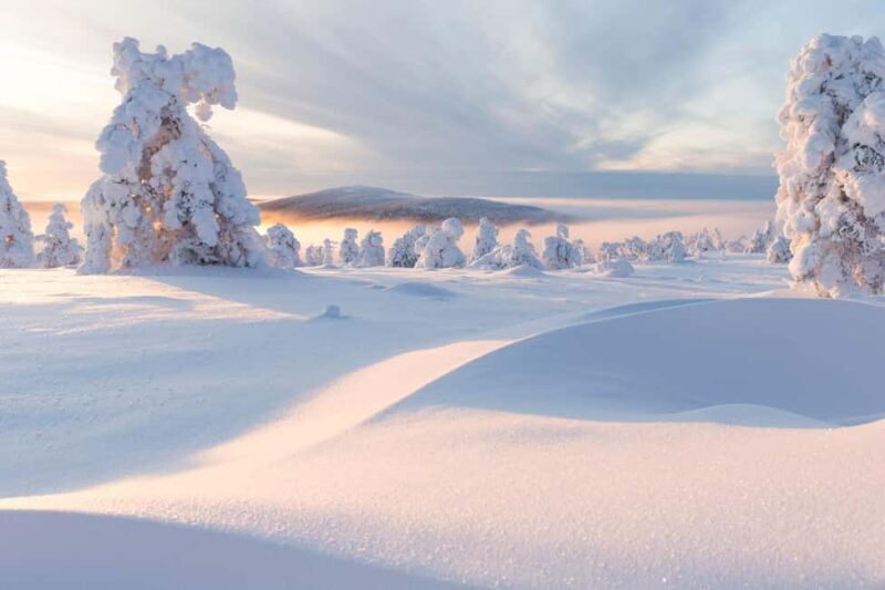 Winter Snowshoeing in the Finnish Wilderness - Comfort, Gear, and Practicalities